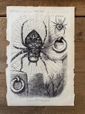 Thomas Nast, Harper's Weekly, Woodblock Engraving, Political Cartoon